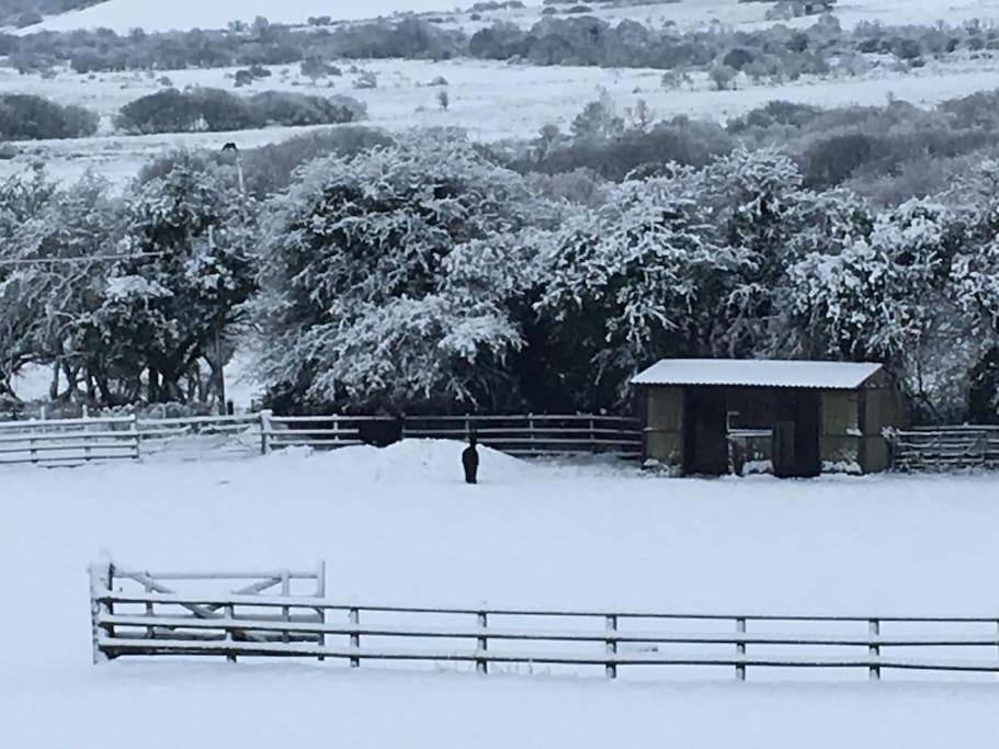 Skyber Barn, A Rural Retreat On Bodmin Moor Apartment *
